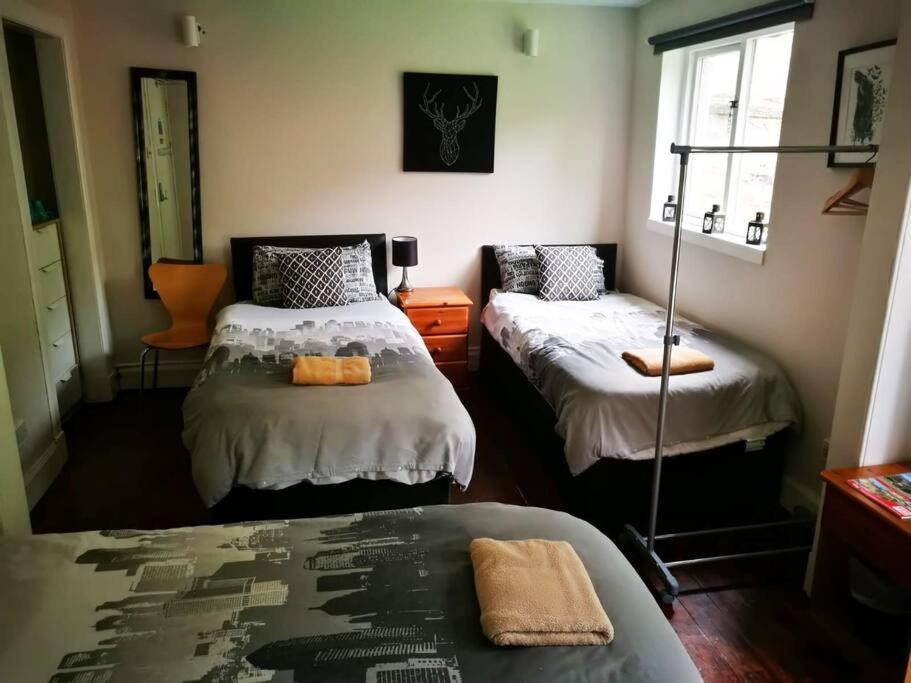 The Kingsview Townhouse - Boutique Hostel EDI Kültér fotó